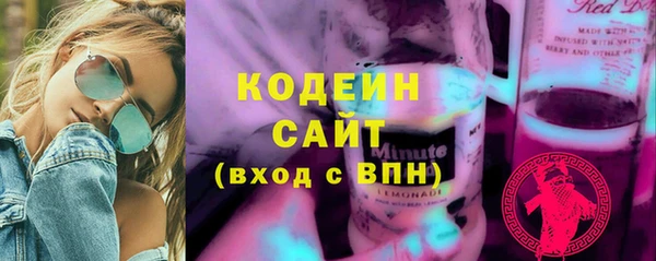 дурь Алексин