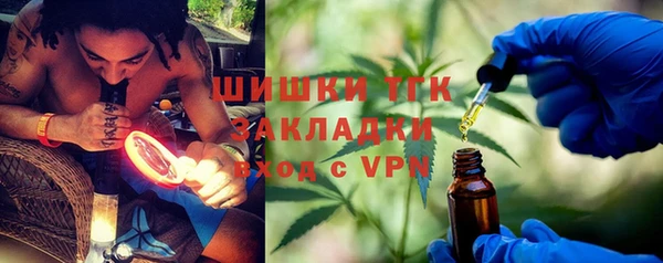 дурь Алексин