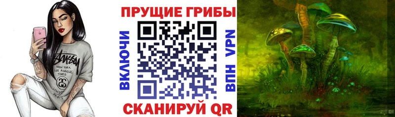 Галлюциногенные грибы MAGIC MUSHROOMS  Солигалич 